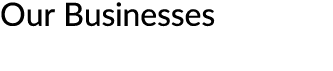 Our Businesses