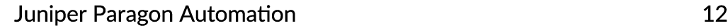 Juniper Paragon Automation 12