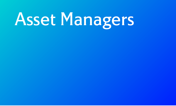 Asset Managers 