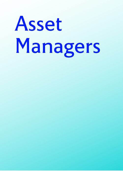 Asset Managers