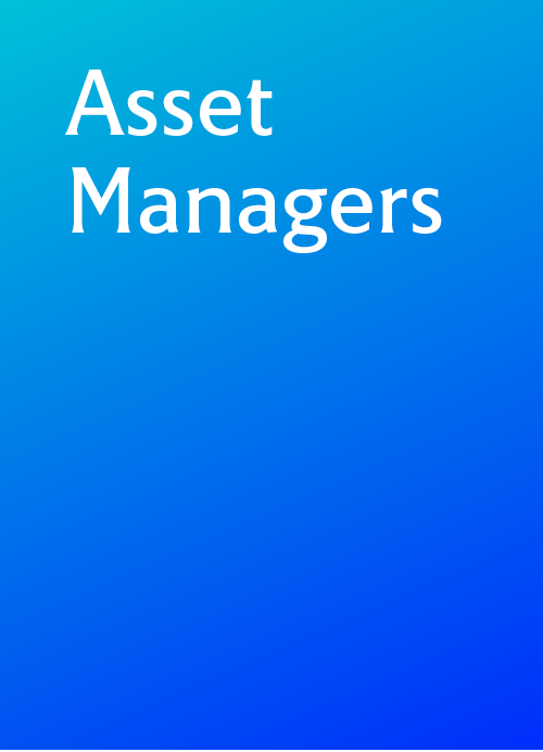 Asset Managers 
