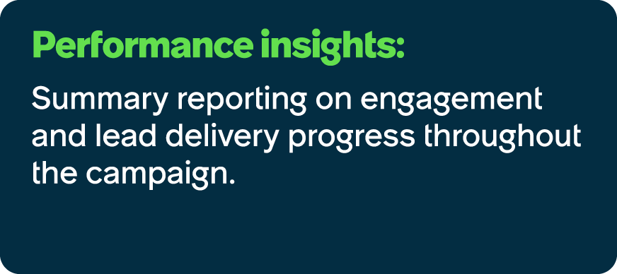 Performance insights: Summary reporting on engagement and lead delivery progress throughout the campaign.