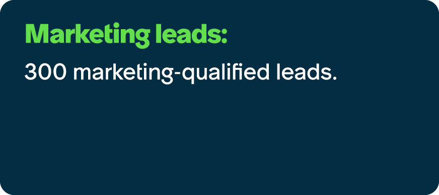 Marketing leads: 300 marketing qualified leads.