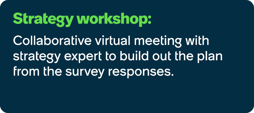 Strategy workshop: Collaborative virtual meeting with strategy expert to build out the plan from the survey responses.