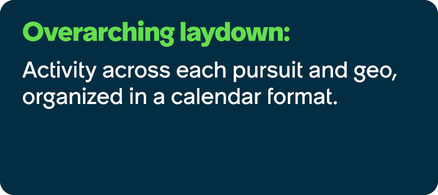 Overarching laydown: Activity across each pursuit and geo, organized in a calendar format.