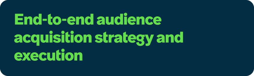 End to end audience acquisition strategy and execution