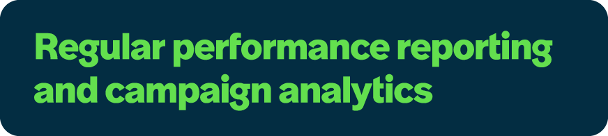 Regular performance reporting and campaign analytics