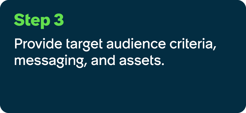 Step 3 Provide target audience criteria, messaging, and assets.