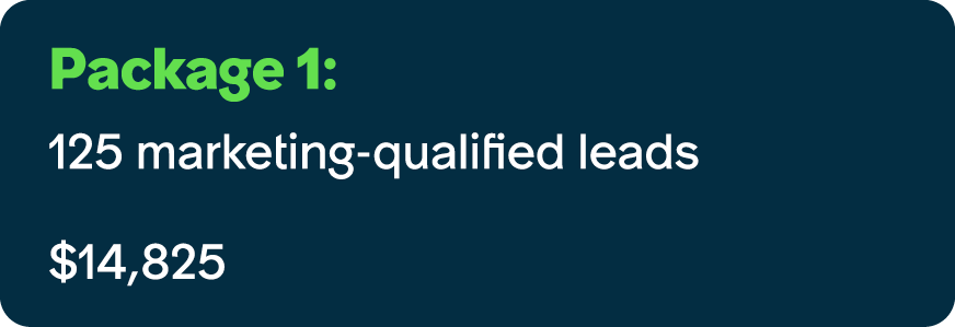 Package 1: 125 marketing qualified leads $14,825