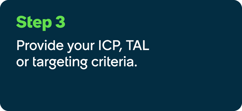 Step 3 Provide your ICP, TAL or targeting criteria.