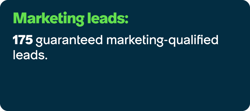 Marketing leads: 175 guaranteed marketing qualified leads.